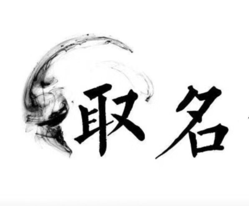  特克斯宝宝取名 大师一对一人工起名