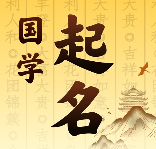 特克斯国学起名 人工起名一对一